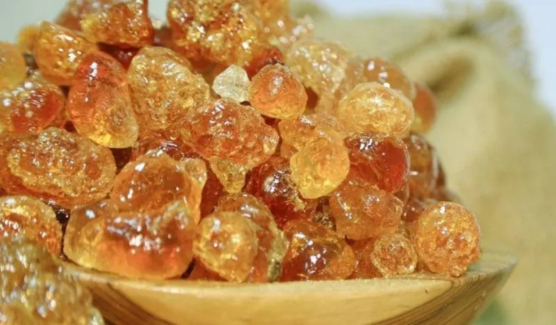 فوائد الصمغ العربي للقولون