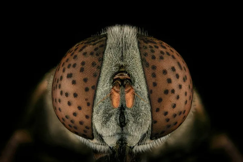 حصد 123 جائزة.. شاب سعودي يتغلب على " فوبيا الحشرات" باحتراف تصويرها عالميًا 