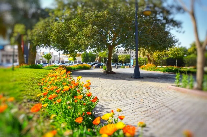 أفضل حدائق الرياض.. اسم على مسمى