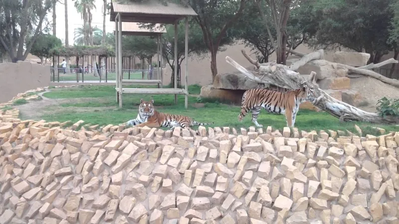 متعة لا تفوتها.. 8 أماكن سياحية نرشحها لك خلال زيارتك للرياض