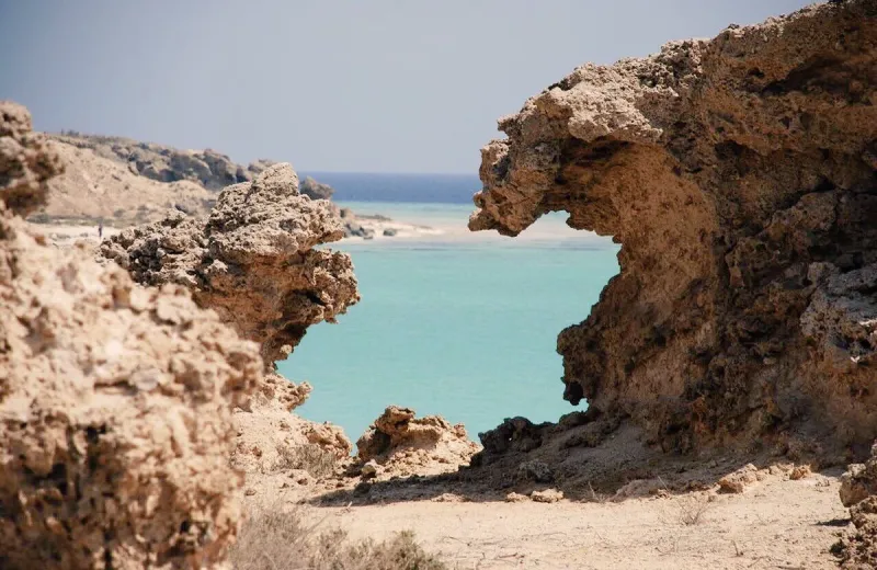 أبرزها فرسان وجبل الصبايا.. تعرف على أهم الجزر السياحية في المملكة