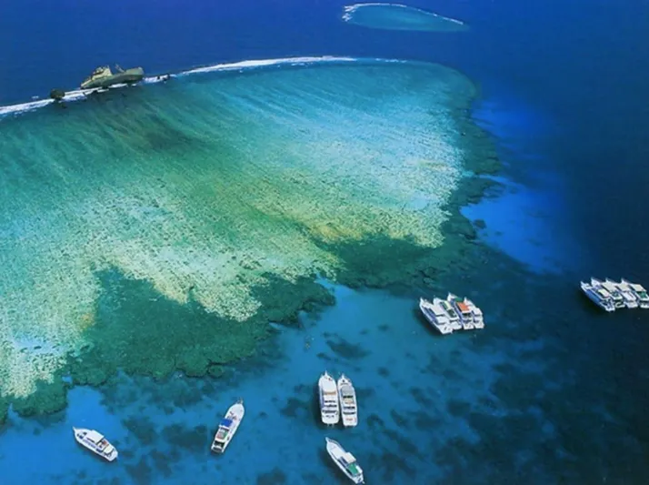 أبرزها فرسان وجبل الصبايا.. تعرف على أهم الجزر السياحية في المملكة