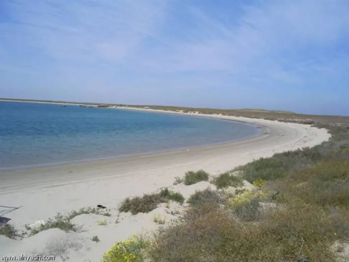 أبرزها فرسان وجبل الصبايا.. تعرف على أهم الجزر السياحية في المملكة