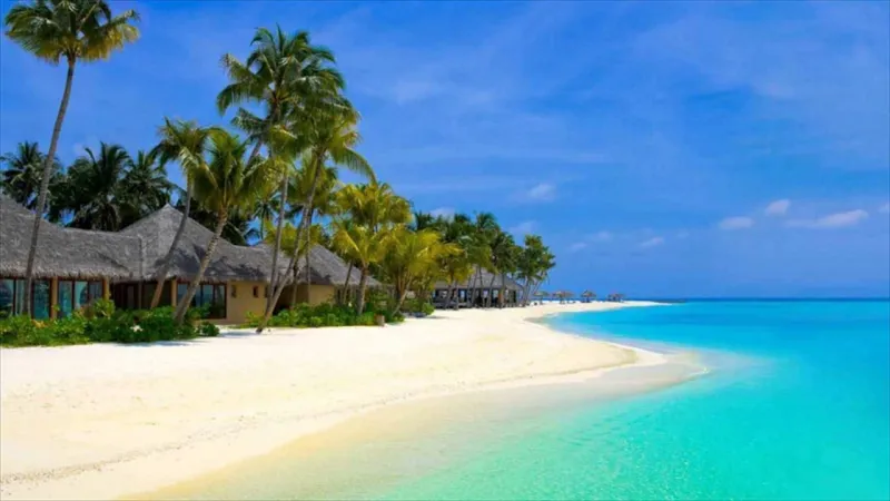 استمتع بالسمفونية الاستوائية لولاية كيرلا.. الجنة الصغيرة الساحرة