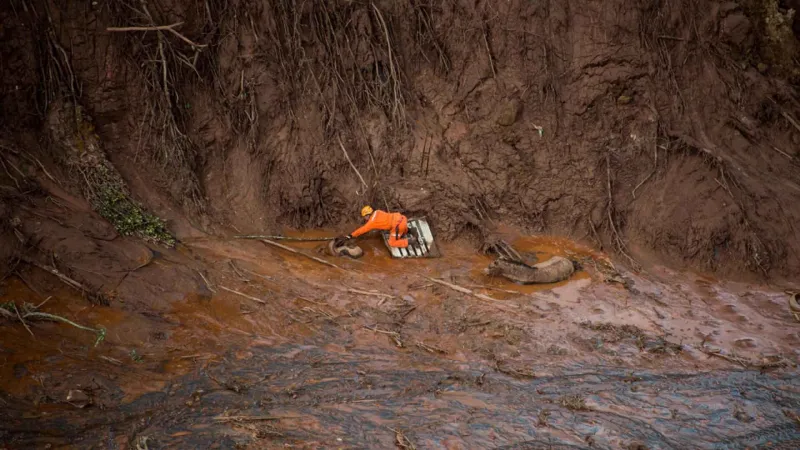 أحدهم صنع كرسيا متحركا لسلحفاة.. عندما يتدخل البشر لإنقاذ الحيوانات (فيديو) 