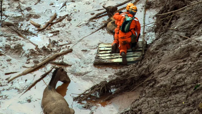 أحدهم صنع كرسيا متحركا لسلحفاة.. عندما يتدخل البشر لإنقاذ الحيوانات (فيديو) 