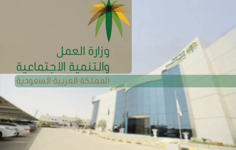 كيفية التسجيل في الضمان الاجتماعي .. إليك التفاصيل