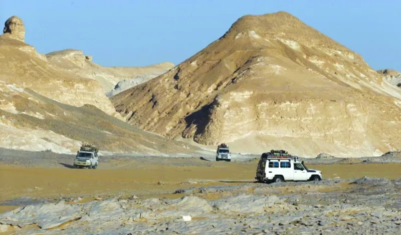 الأمير ناصر بن نواف يحتفل باليوم الوطني في الصحراء (فيديو)