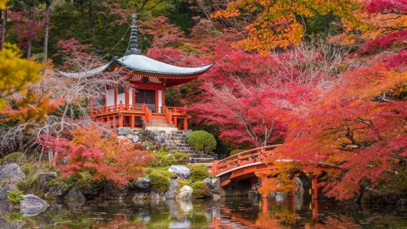 من اليابان إلى المغرب.. أجمل الوجهات للاستمتاع بالأجواء الخريفية