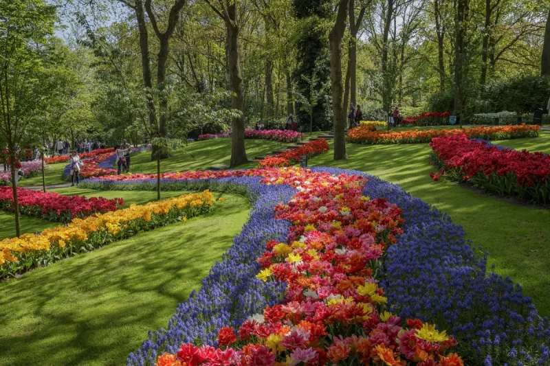 لعطلة رائعة.. أفضل 5 أماكن سیاحیة في هولندا