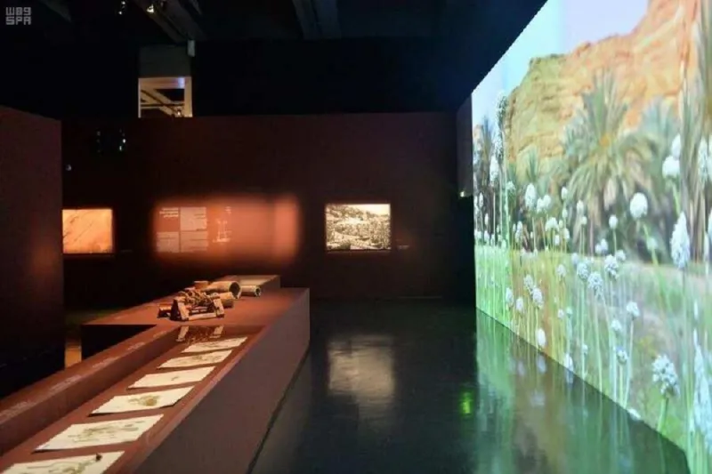 منصة لإبراز كنوز العلا التاريخية.. المملكة تفتتح "واحة العجائب" في باريس