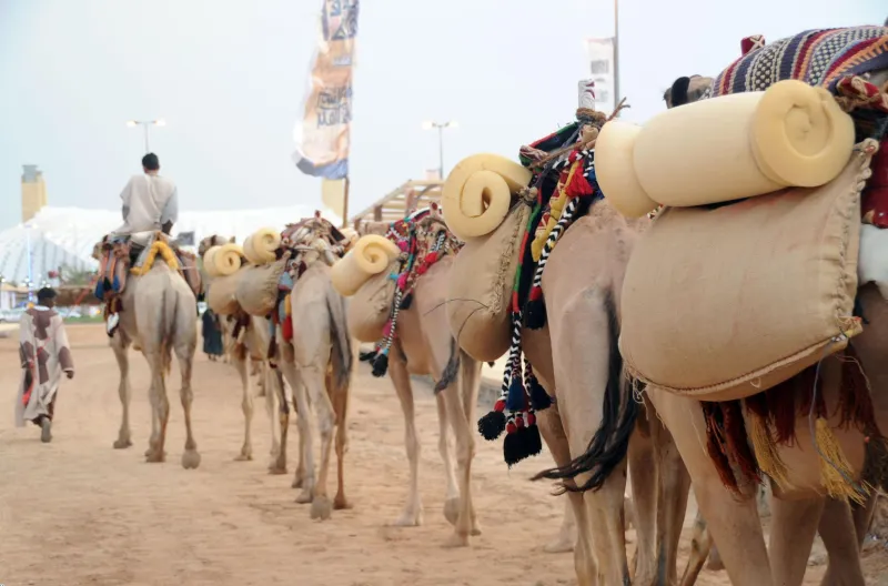 سوق عكاظ ..تاريخ أقدم أسواق العرب من الجاهلية إلى اليوم