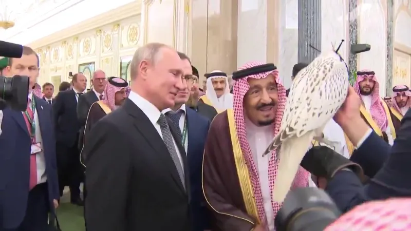 "نجم الشمال".. ماذا تعرف عن الصقر النادر الذي أهداه بوتين إلى خادم الحرمين؟