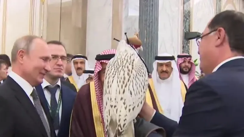 "نجم الشمال".. ماذا تعرف عن الصقر النادر الذي أهداه بوتين إلى خادم الحرمين؟
