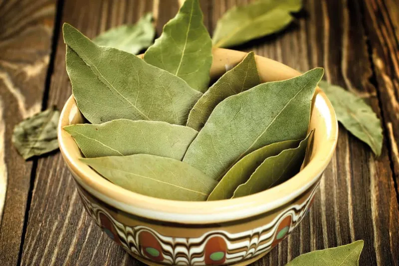 وصفات طبيعية تساعد على علاج ألم الأسنان .. قد لا تحتاج لزيارة الطبيب