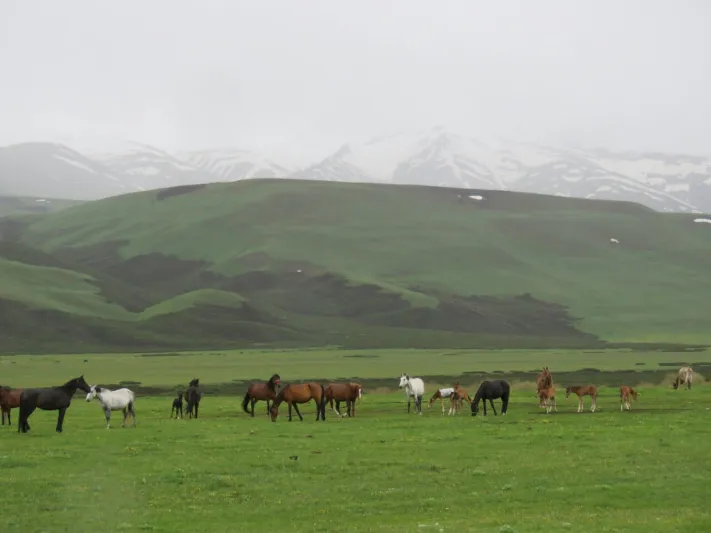السياحة في قرغيزستان..  دليلك عن أفضل الفنادق في المدينة الساحرة