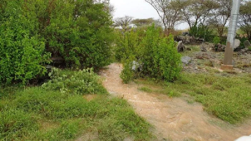 لقطات ساحرة لتشكل الشلالات وجريان الأودية بعد هطول الأمطار على بارق (فيديو)