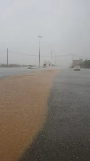 لقطات ساحرة لتشكل الشلالات وجريان الأودية بعد هطول الأمطار على بارق (فيديو)