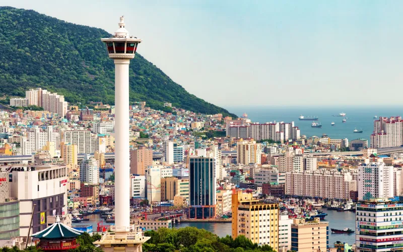 أفضل 10 أنشطة في بوسان المدينة الملونة.. وجهة سياحية مميزة ومختلفة (صور)