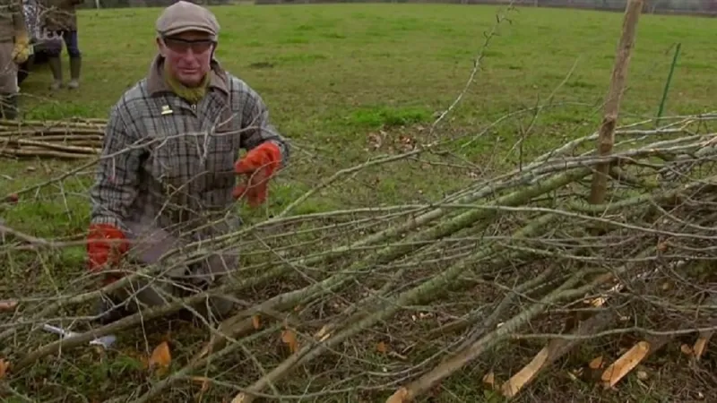 لهذه المهام.. الأمير تشارلز يتخلى عن ثوبه الملكي (صور)