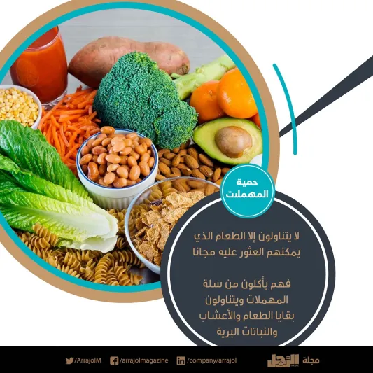 أغرب وأخطر 10 حميات غذائية في العالم «إنفوجراف»