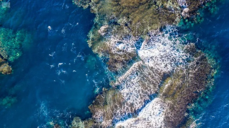 77 ألف تأشيرة في 33 يوما.. لهذه الأسباب تصدرت تلك الجنسيات قائمة السياح في السعودية «إنفوجراف»