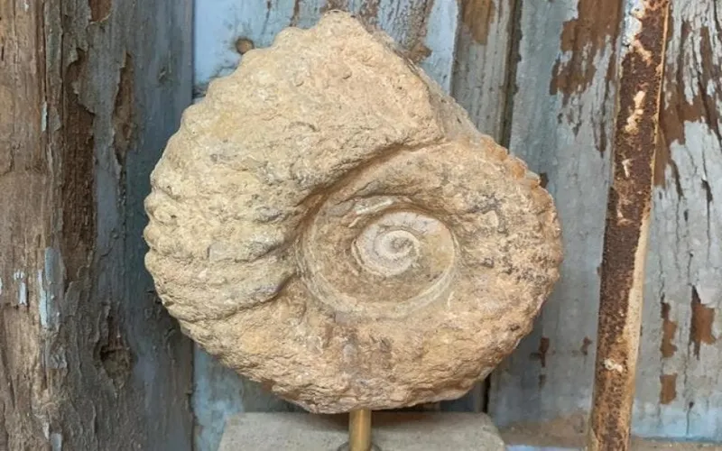 قطع تصل لـ 2000 عام.. معرض سعودي فريد من نوعه في الجموم (صور)