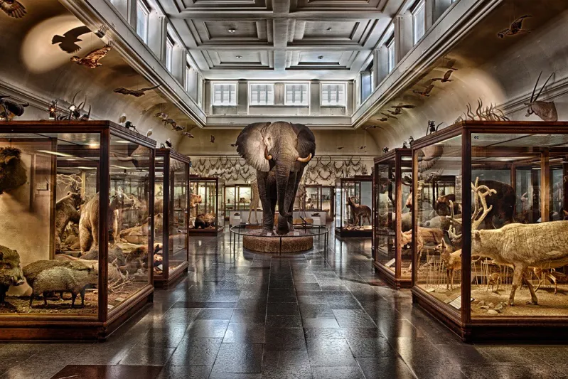 أبرز 5 مدن سياحية في السويد.. رحلة أوروبية من طراز خاص 