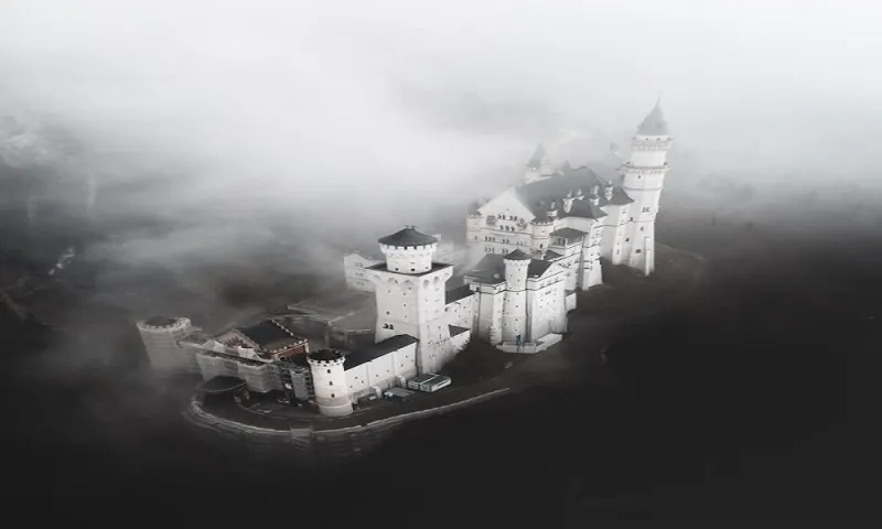 «العالم بعدسة الكاميرا».. أفضل الصور المُلتقطة في 2019