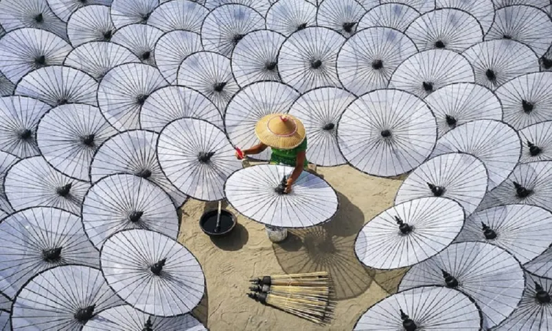 «العالم بعدسة الكاميرا».. أفضل الصور المُلتقطة في 2019