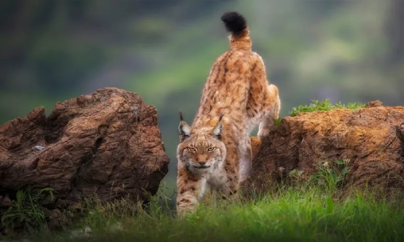 «العالم بعدسة الكاميرا».. أفضل الصور المُلتقطة في 2019