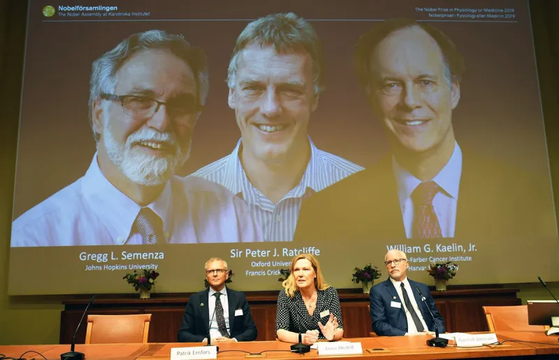 الشخصيات الحاصلة على جائزة نوبل في عام 2019 .. حملت مفاجآت كبيرة