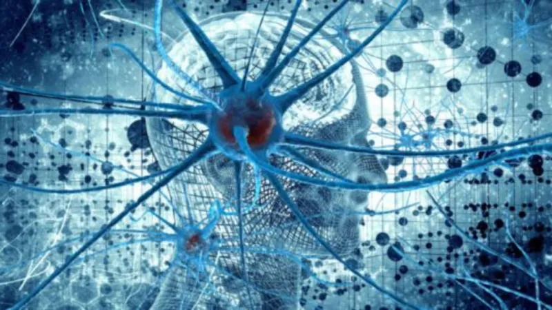 يساعدنا على كسب أصدقاء جدد.. ما هو الذكاء التواصلي وسبل تعزيزه؟