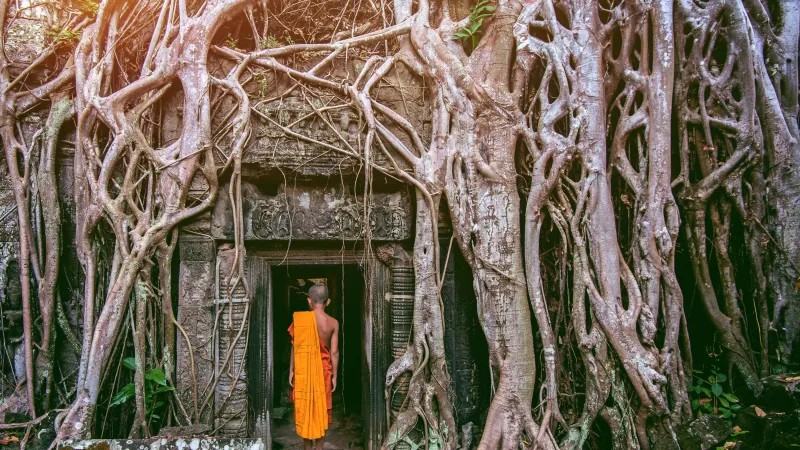 بـ270 ألف دولار.. تعرف على أغلى رحلة في العالم من Four Seasons