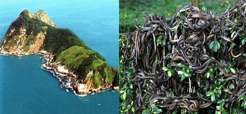 أكثر الجزر رعباً في العالم .. براكين وثعابين وأسماك القرش تنتظر الزائرين