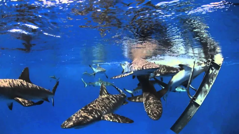 أكثر الجزر رعباً في العالم .. براكين وثعابين وأسماك القرش تنتظر الزائرين