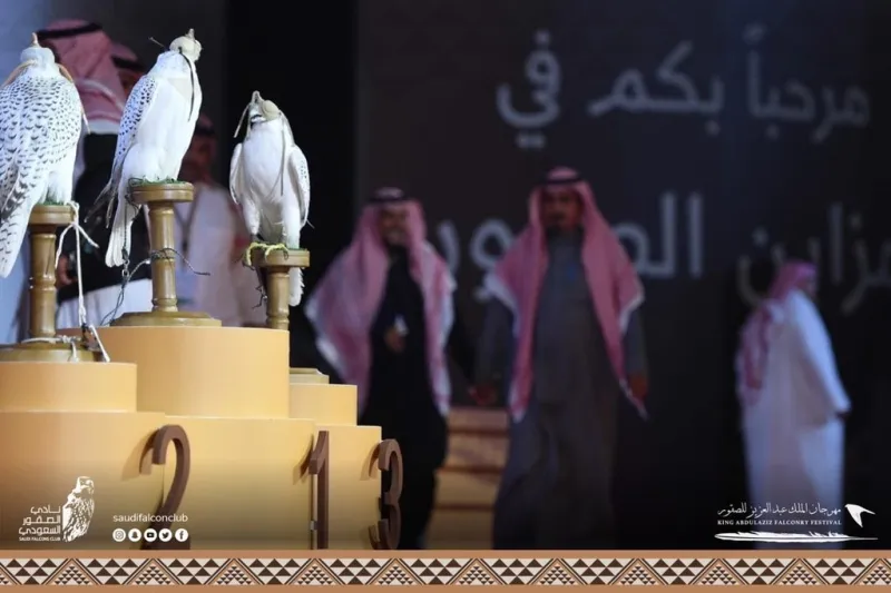 صقور تخطف الأنظار بمسابقة «المزاين».. ما معايير اختيار الأجمل؟  «فيديو»