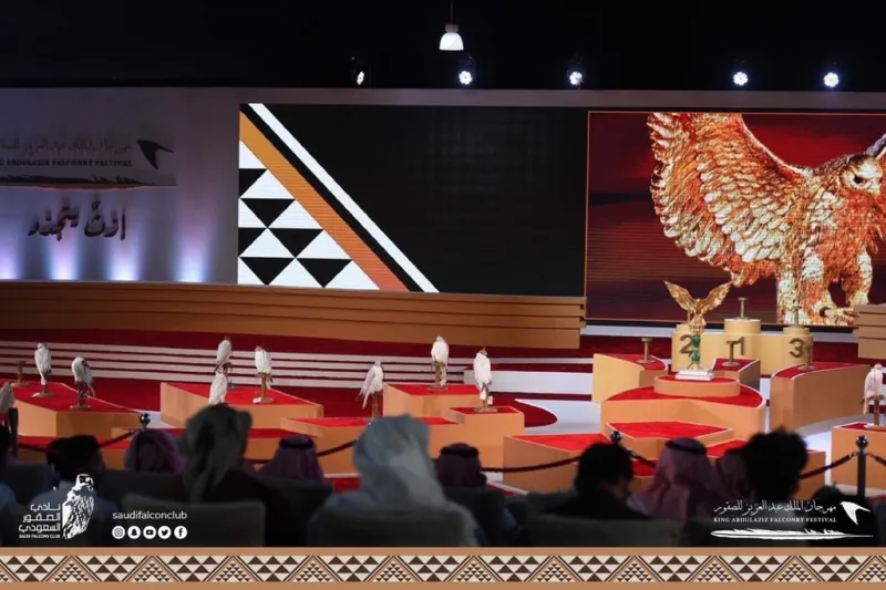 صقور تخطف الأنظار بمسابقة «المزاين».. ما معايير اختيار الأجمل؟  «فيديو»