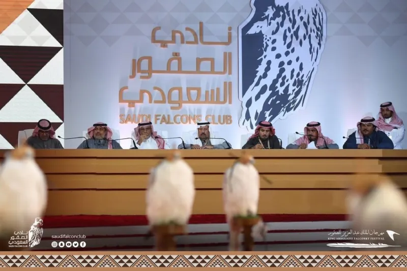 صقور تخطف الأنظار بمسابقة «المزاين».. ما معايير اختيار الأجمل؟  «فيديو»