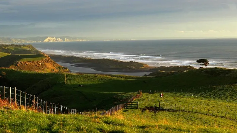 بنى مزرعة خلابة.. مليونير ألماني ينشر إعلانا للبحث عن أصدقاء ودودين للعيش معه «فيديو»