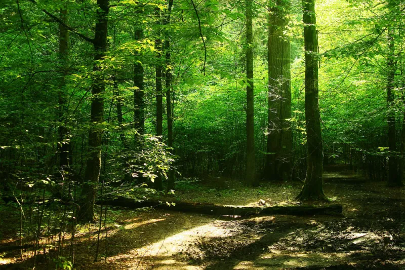 2020 على الأبواب.. 10 أماكن توصي «National Geographic» بالسفر إليها