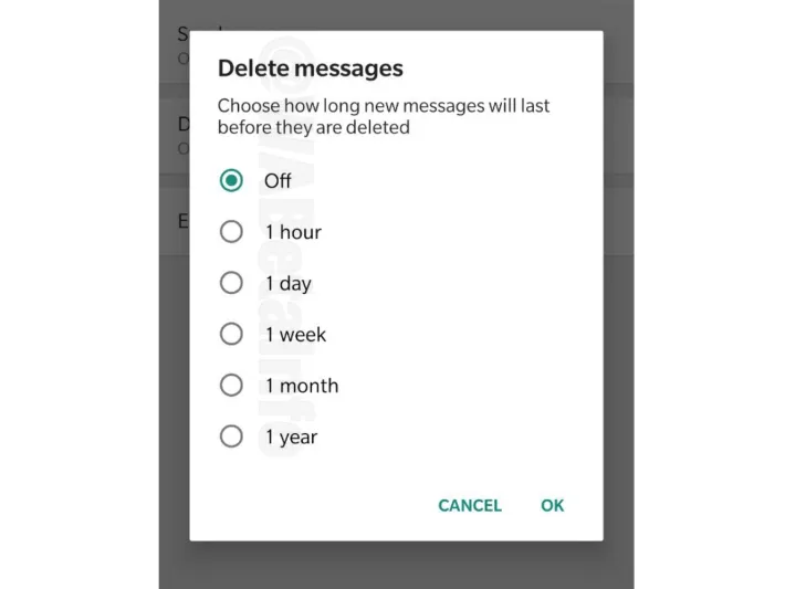  «واتساب» يبدأ تعميم «الرسائل ذاتية الحذف» في نسخته التجريبية