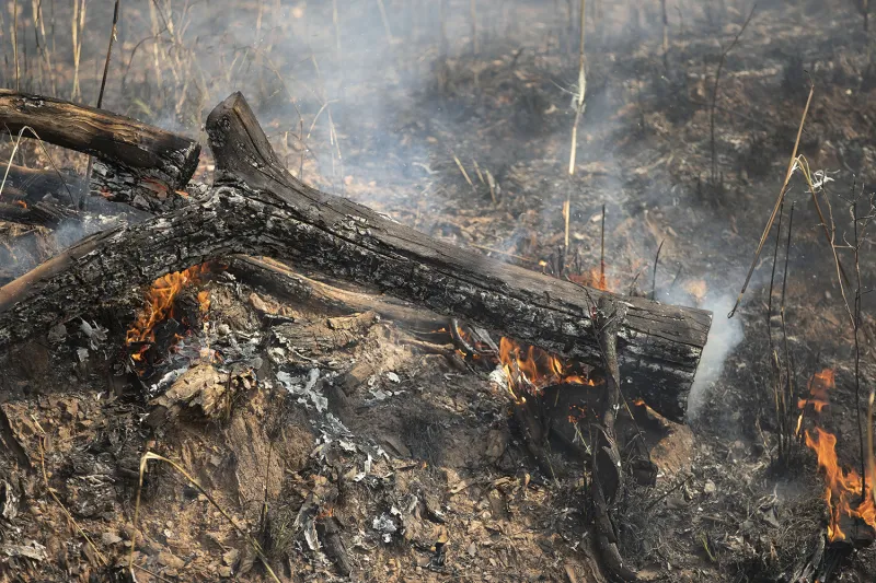 عزل ترامب وصفقة أوبر وكريم ومقتل البغدادي.. أبرز ما شهده العالم في 2019 (فيديو)