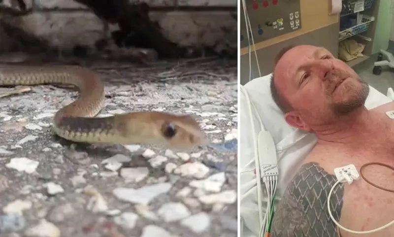  حية تفاجئ صيادها بلدغة قاتلة (فيديو)