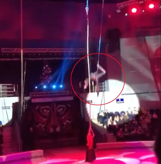 عرض سيرك عالمي ينتهي بكسر في الرقبة «فيديو»