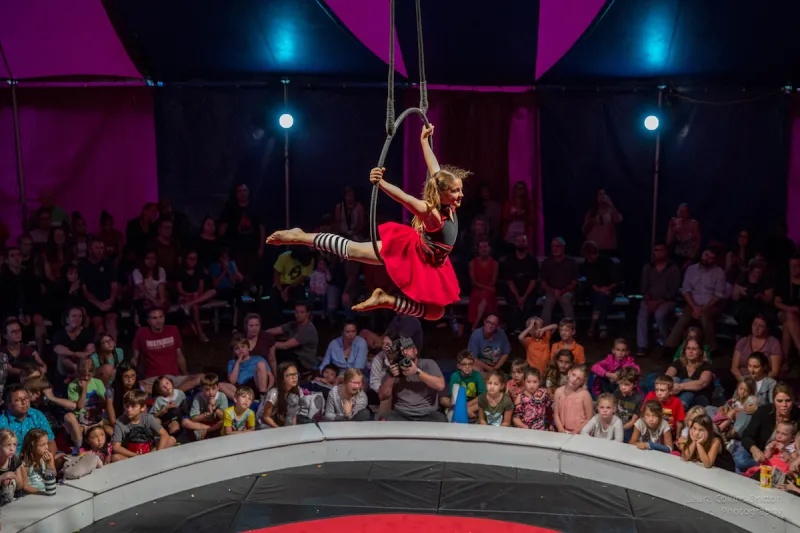 عرض سيرك عالمي ينتهي بكسر في الرقبة «فيديو»