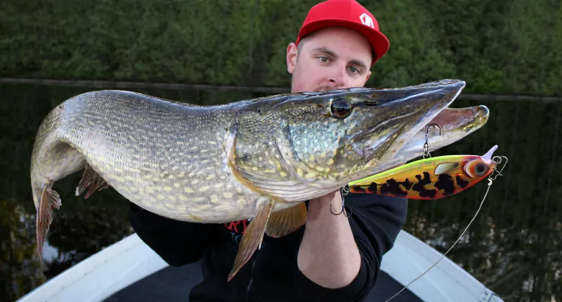 مفاجأة أذهلت الصيادين.. ماذا وجدوا فى بطن سمكة ضخمة (فيديو)