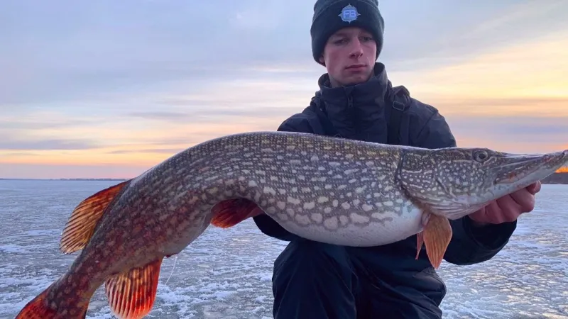 مفاجأة أذهلت الصيادين.. ماذا وجدوا فى بطن سمكة ضخمة (فيديو)