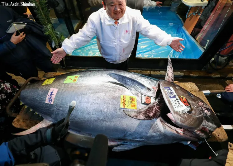  بيع سمكة تونه في مزاد علني بـ1.8 مليون دولار (فيديو) 