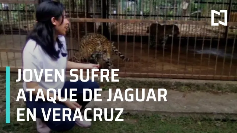 صورة سيلفي السبب.. نمر ينهش ذراع فتاة في حديقة حيوان مكسيكية «فيديو»